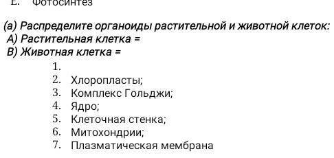 Распределите органоидыРаспределите органоиды растительной и животной клеткой а растительная клетка в