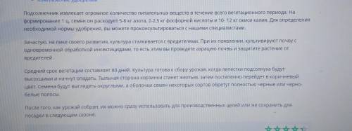 Почему в восточном Казахстане выращивают подсолнух?