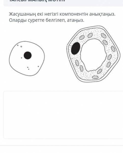 Жасушанын екы негызгы компонентын аныктаныз оларды суретте белгылеп атаныз​