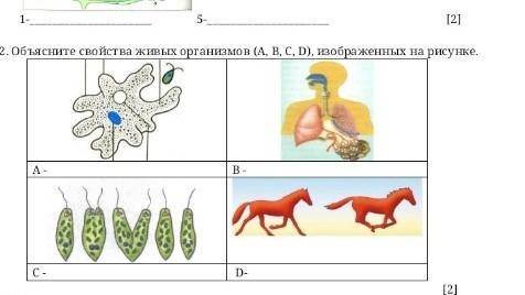 быстрее у меня СОЧ времени мало​