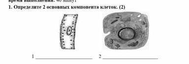 1.      Определите 2 основных компонента клеток. (2) ￼                        1      2 дам лучший о