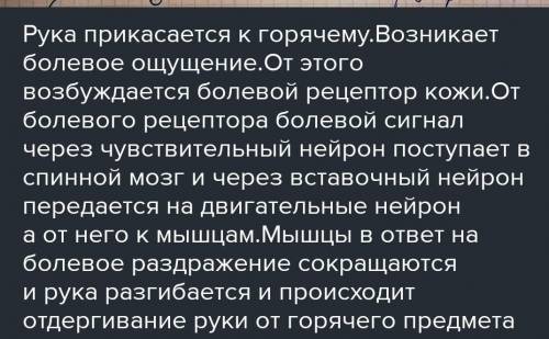 Задание 5 (a). Укажите вид рефлекса по описанию: ребенок нечаянно задел кружку с горячим чаем и тут