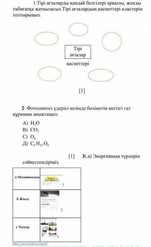 там еще не ест не моглаа быыы​