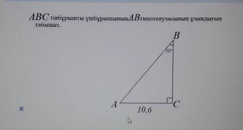 Бар ма? геометрия тжб​