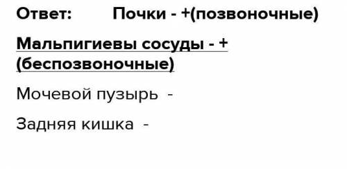 Назовите органы выделения беспозвоночных и позвоночных животных, изображенных на РИСУНКАХ.ПОМАГИТЕ Б