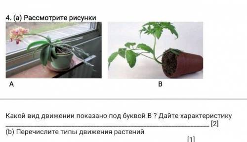 (а) рассмотрите рисунки какой вид движении показано под буквой в ? дайте характеристику [2] (b) пере