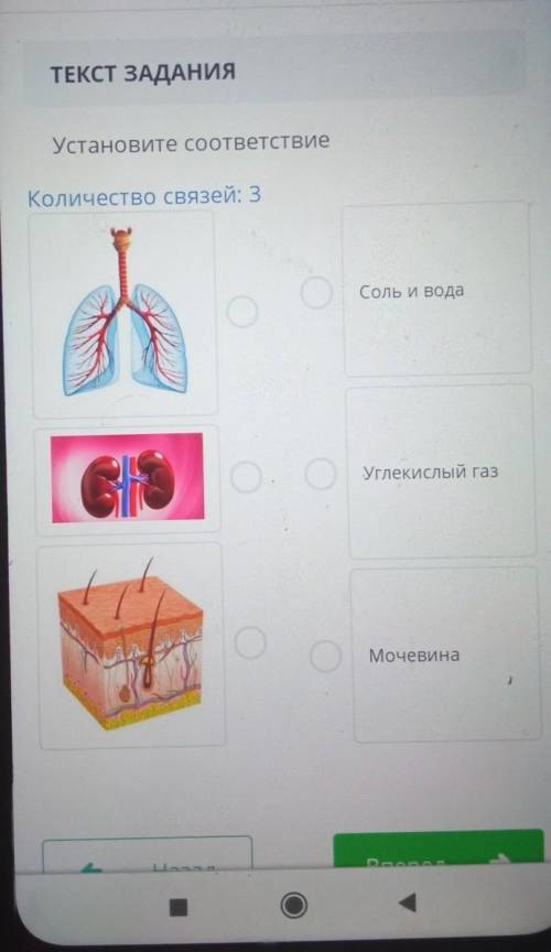 Установите соответствие соли вода углекислый газ мочевина​