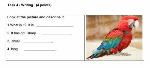 Task 4 / Writing (4 points) Look at the picture and describe it.1.What is it? It is .2. It has got s