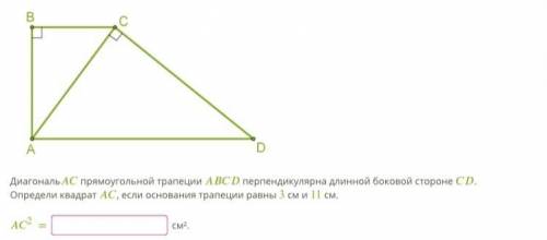 Напишите, что надо написать в ответ