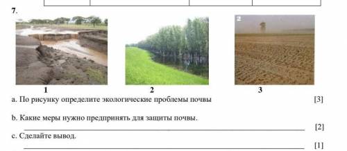 1 2 3 а. По рисунку определите экологические проблемы почвы [3] b. Какие меры нужно предпринять для