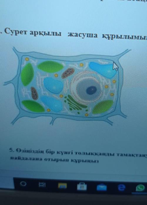 4. Сурет арқылы жасуша құрылымын анықтаңыз​