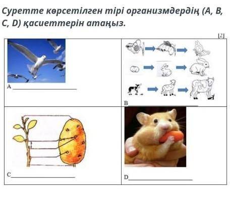 Суретте көрсетілген тири организмдердин (A, B, C, D) ​