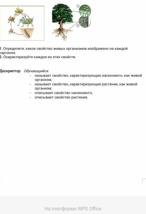 ДО 21.00 Определите, какое свойство живых организмов изображено на каждой картинке.2. Охарактеризуйт