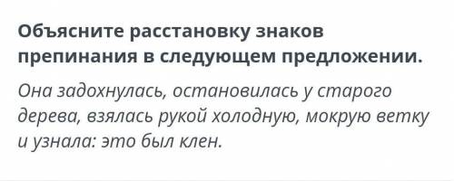 Русский язык объяснить расстановку знаков препинания​