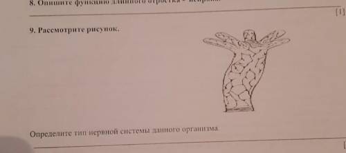 Рассмотрите рисунок определите тип нежный системы данного организма ​