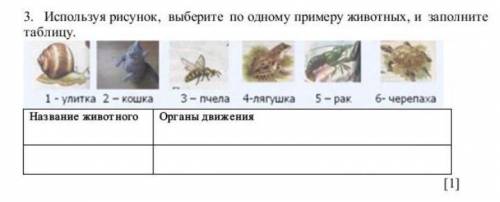 3. Используя рисунок, выберите по одному примеру животных, и заполните таблицу​