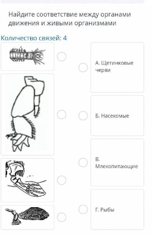 те , только быстро у меня просто Соч. ​