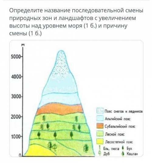 ​ Это соч по географии!