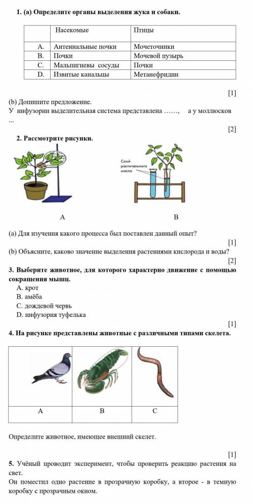 СОЧ по биологии за 7 класс 3 четверть , дам все свои ​