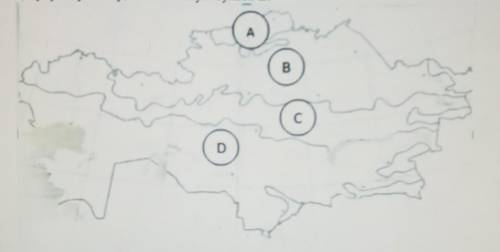 3. Определите, используя картосхему: b) основные характеристики данной природной зоны1.Особенности к