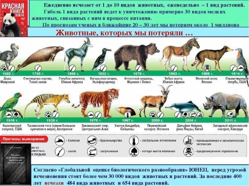 Рассмотрите несплошной текст (инфограмму). Какие новые - по отношению к прочитанному вами тексту - с