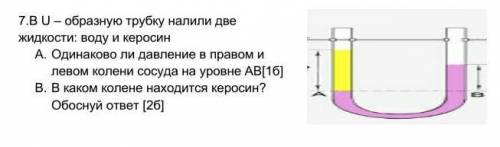 В U – образную трубку налили две жидкости: воду и керосин A.   Одинаково ли давление в правом и лево