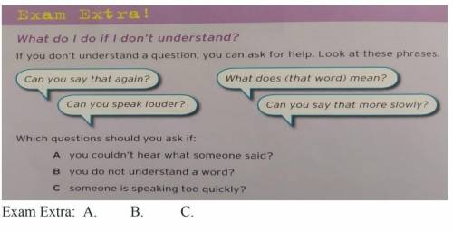 If you don't understand questions, you can ask for help. Look at these phrases. ​