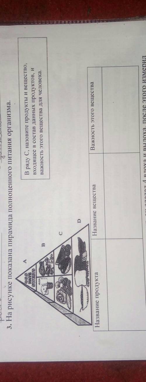 3. На рисунке показана пирамида полноценного питания организма.