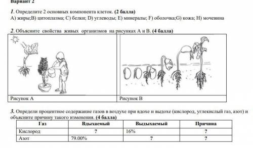 Можно второе и третье. у меня соч