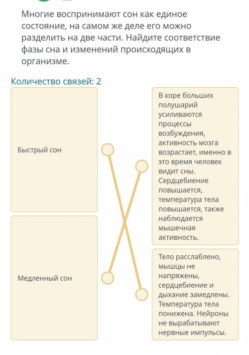 Многие воспринимают сон как единое состояние, на самом же деле его можно разделить на две части. Най