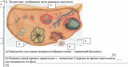 Биология 10 класс решите