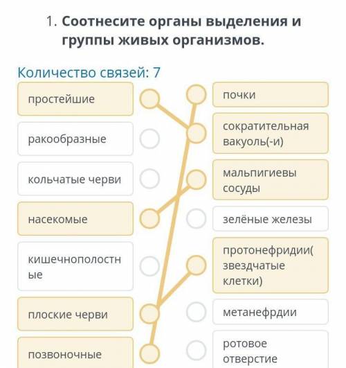 ТЕКСТ ЗАДАНИЯ Соотнесите органы выделения и группы живых организмов.Количество связей: 7простейшиера