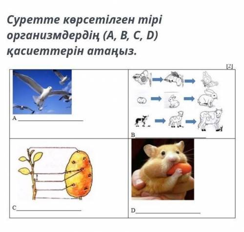 Соч соч соч соч соч соч соч​