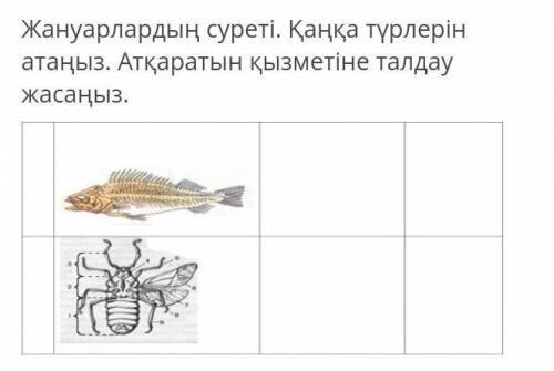 Жануарлардың суреті. Қаңқа түрлерін атаңыз. Атқаратын қызметіне талдау жасаңыз.​