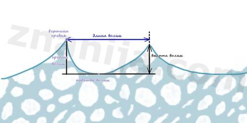 Что такое длина и высота волны