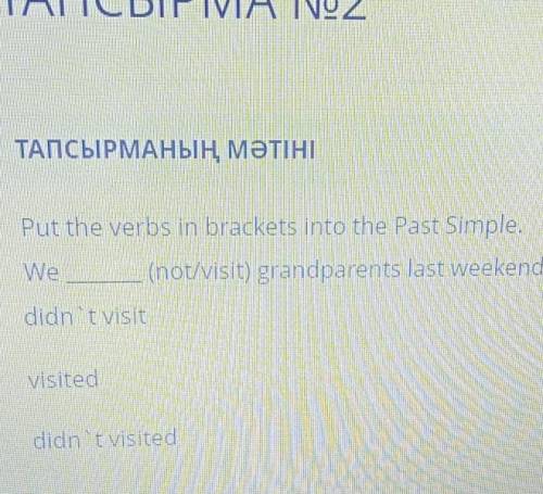 Put the verbs in brackets into the past simple We(not/visit) grandparents last weekend. didn`t visit