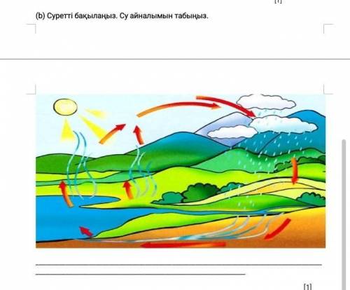 (b) Суретті бақылаңыз. Су айналымын табыңыз. ​