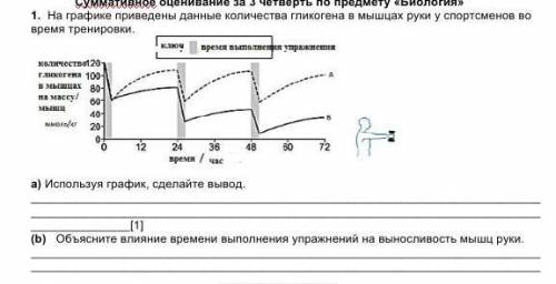 с биологией ! на графике приведены данные количества гликогена в мышцах руки у спортсменов во время