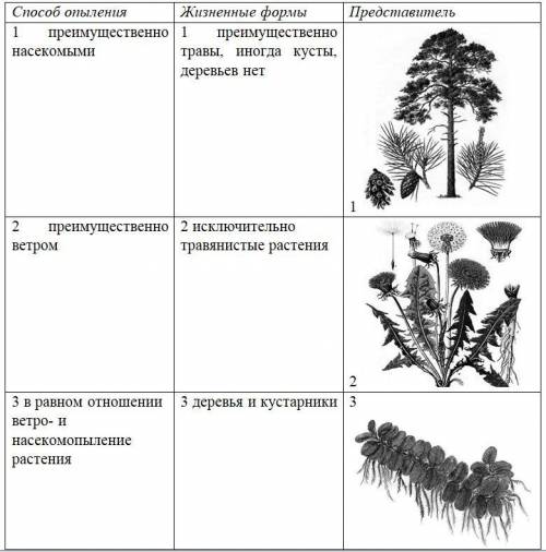 НАДА НУЖНО Какая характерная особенность голосеменных предоставила им преимущество над высшими споро