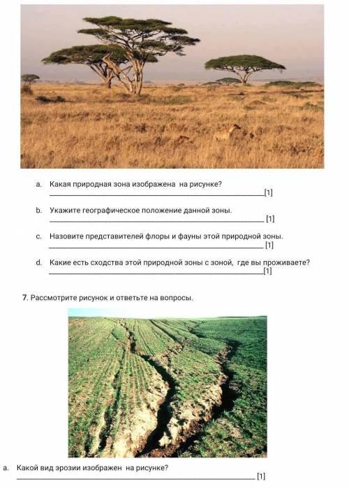 Рассмотрите рисунок и ответьте на вопросы. Какая природная зона изображена на рисунке? [1]Укажите ге