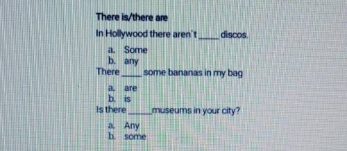 There is/there are In Hollywood there aren'tdiscosa. Someb. anyTheresome bananas in my bagb. ismuseu