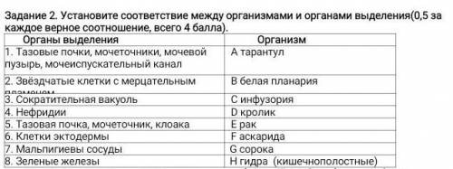 Установите соответствие между организмами и органами выделения(0,5 за каждое верное соотношение, все