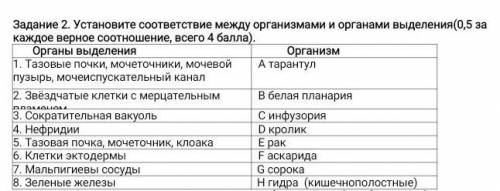 Установите соответствие между организмами и органами выделения(0,5 за каждое верное соотношение, все