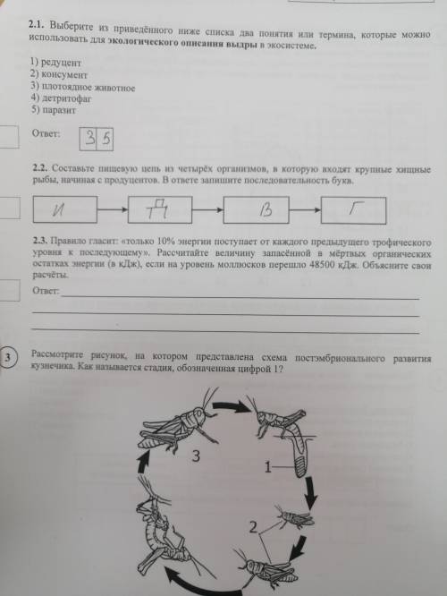 правило гласит только 10% энергии поступает от каждого предыдущего трофического уровня к последующем