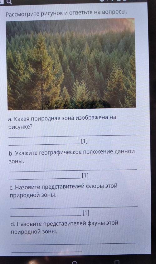 Рассмотрите рисунок и ответьте на вопросы.а. Какая природная зона изображена нарисунке?​