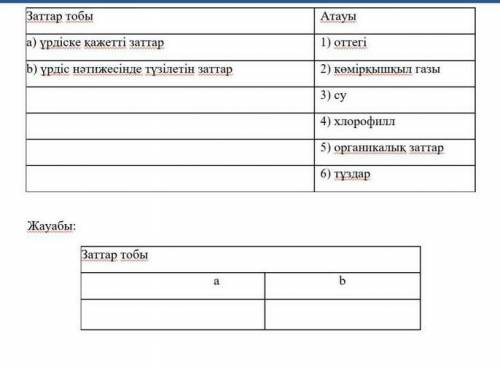 Фотосинтез үдерісіне қатысатын заттар тобымен олардың атаулары арасындағы сәйкестікті анықтаңыз​