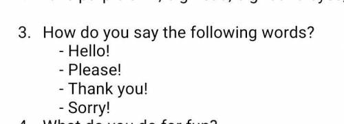 How do you say the following words? - Hello! - Please! - Thank you! - Sorry!