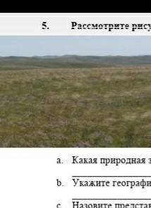 5. Рассмотрите рисунок и ответьте на вопросы.a. Какая природная зона изображена на рисунке?b. Укажит