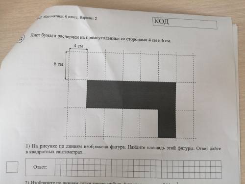 Из бумаги расчерчен на прямоугольники со сторонами 4 см и 6 см. На рисунки по линиям изображена фигу