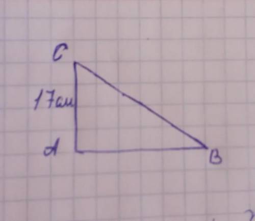 Из точки C опущена наклонная и перпендикуляр равный 17 см. Найти наклонную угол 30°​